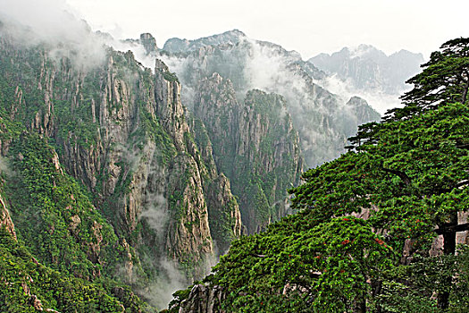 乖乖在什么地方能买到C1B8D97C5-18975